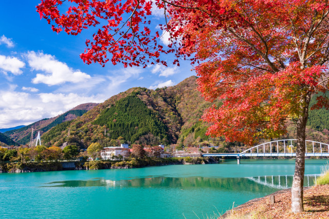 丹沢湖周辺【山北町】